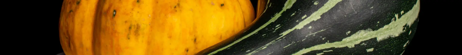 Dovleac și dovlecei